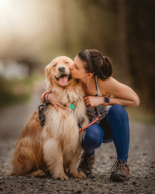 The Joys of Owning a Dog - A Guide to Loving Your Pet